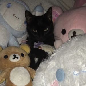 Meet your Posher, Chloe